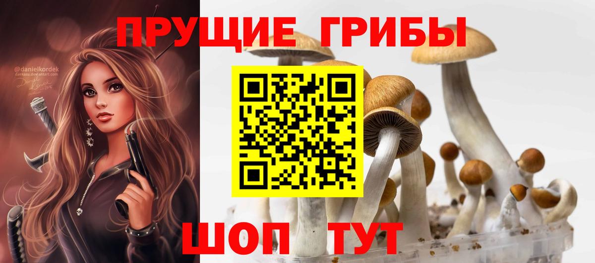 Галлюциногенные грибы мицелий  Галлюциногенные грибы мицелий  Звенигород  Вход с VPN 
